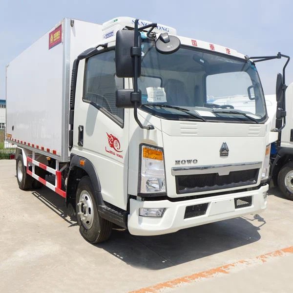 Chinese Refrigerator Chill Reefer Car Van Truck Trailer